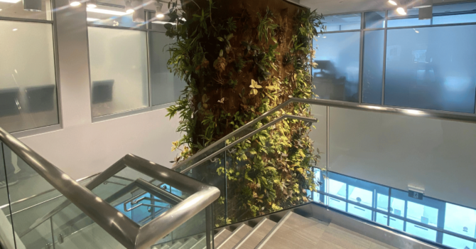 Men's health clinic GTA